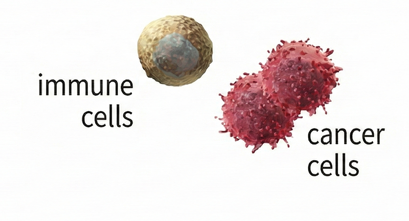 Hyper-realistic medical imagery of immune cells and cancer cells that may feel overwhelming or harder to interpret.